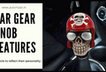 car gear knob