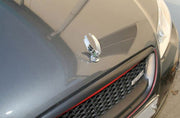 SQ+ Eagle Wing Style Car Front Hood Bonnet Emblem Ornament